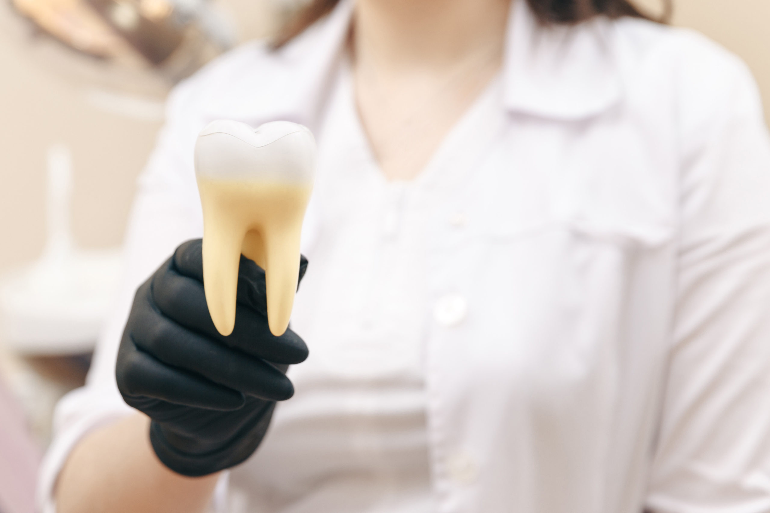 みよし市　歯医者　歯科衛生士、歯科医師、歯科助手の違い　後藤歯科