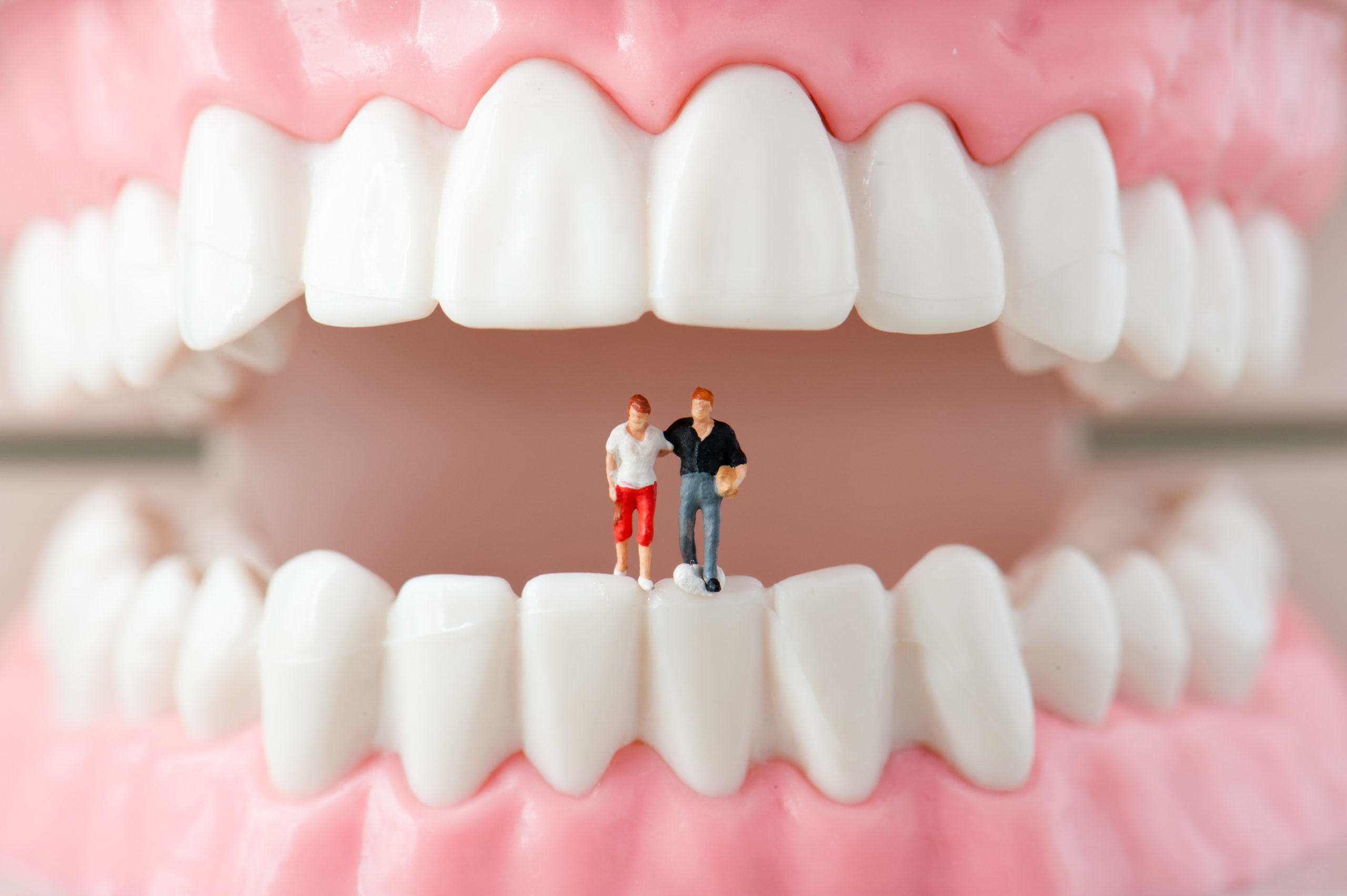 みよし市　虫歯予防　後藤歯科